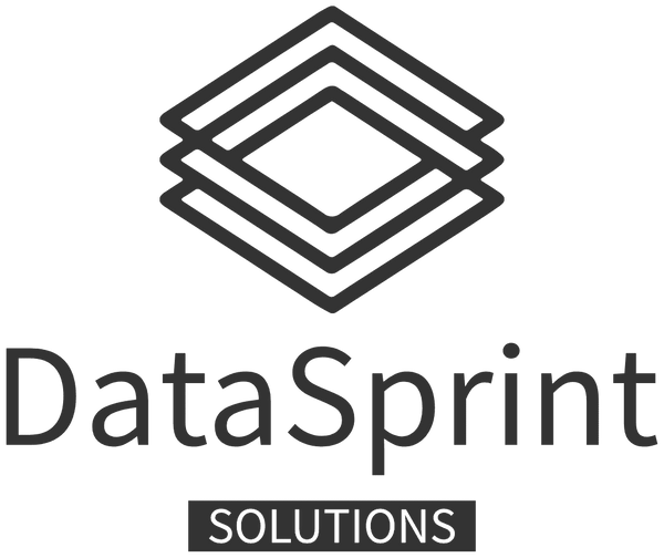 DataSprint Solutions